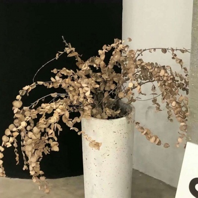 兽设角色性格塑造兽圈群